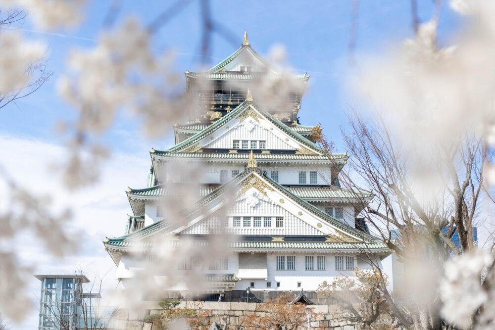 大阪城公園の桜