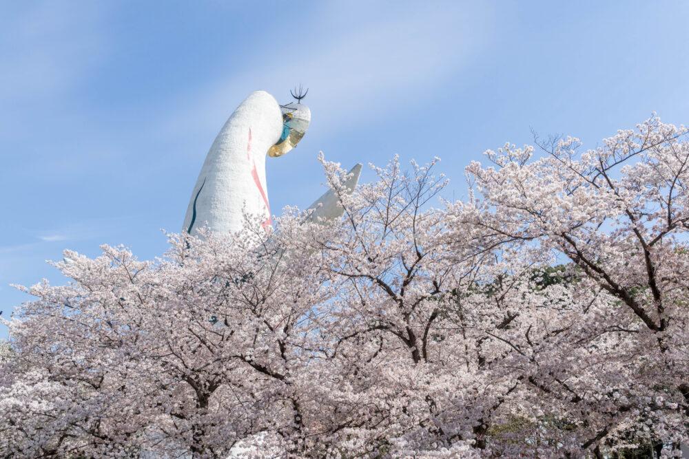 万博記念公園の桜