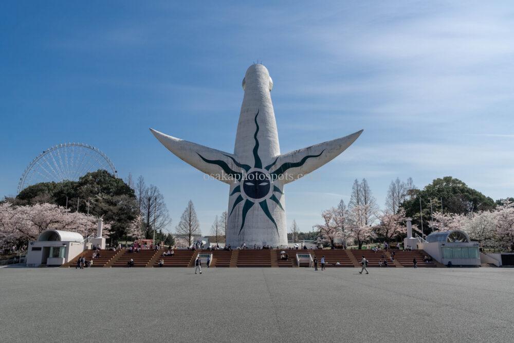 万博記念公園の桜