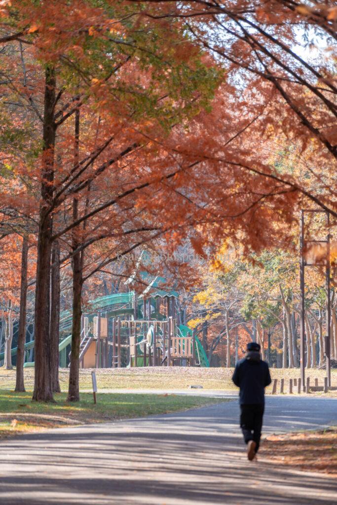新檜尾公園の紅葉