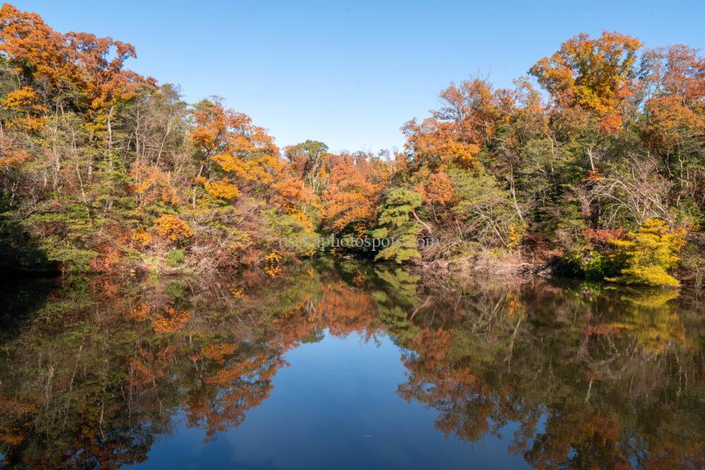 むろいけの森(むろいけ園地)の紅葉