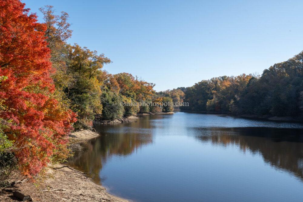 むろいけの森(むろいけ園地)の紅葉
