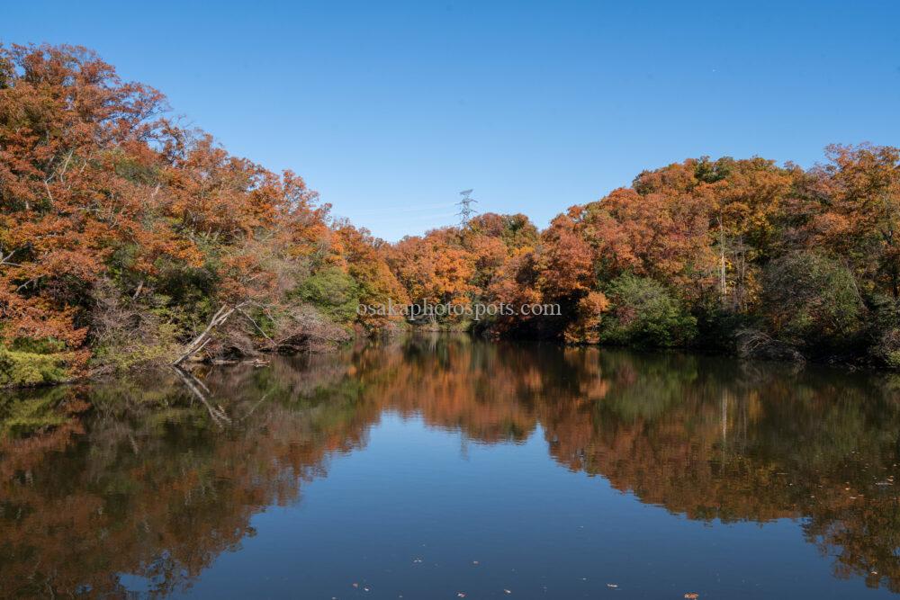 むろいけの森（むろいけ園地）の紅葉