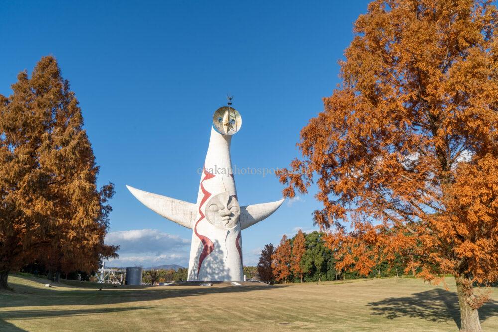 万博記念公園の紅葉