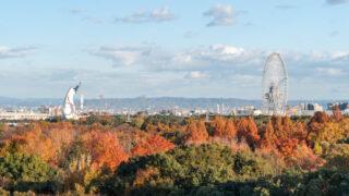 万博記念公園の紅葉｜吹田市