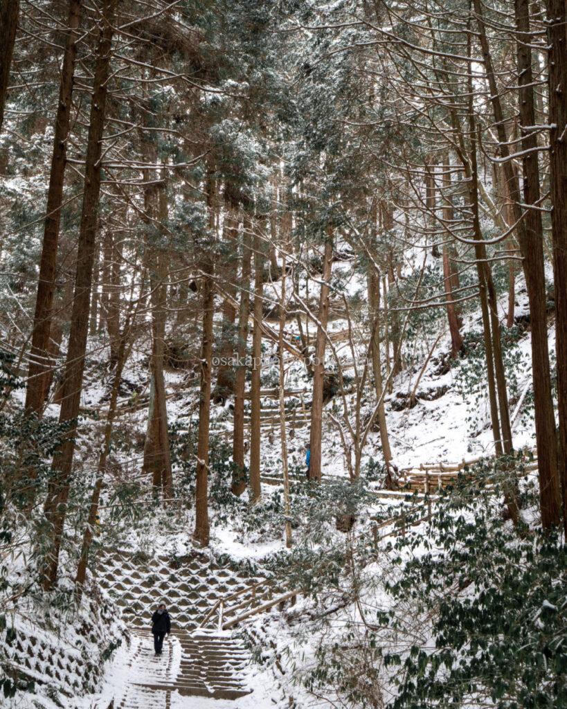 金剛山の雪景色