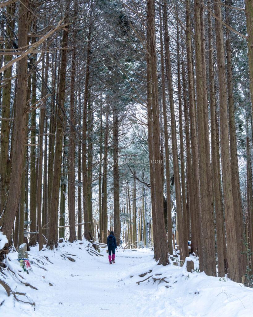 金剛山の雪景色