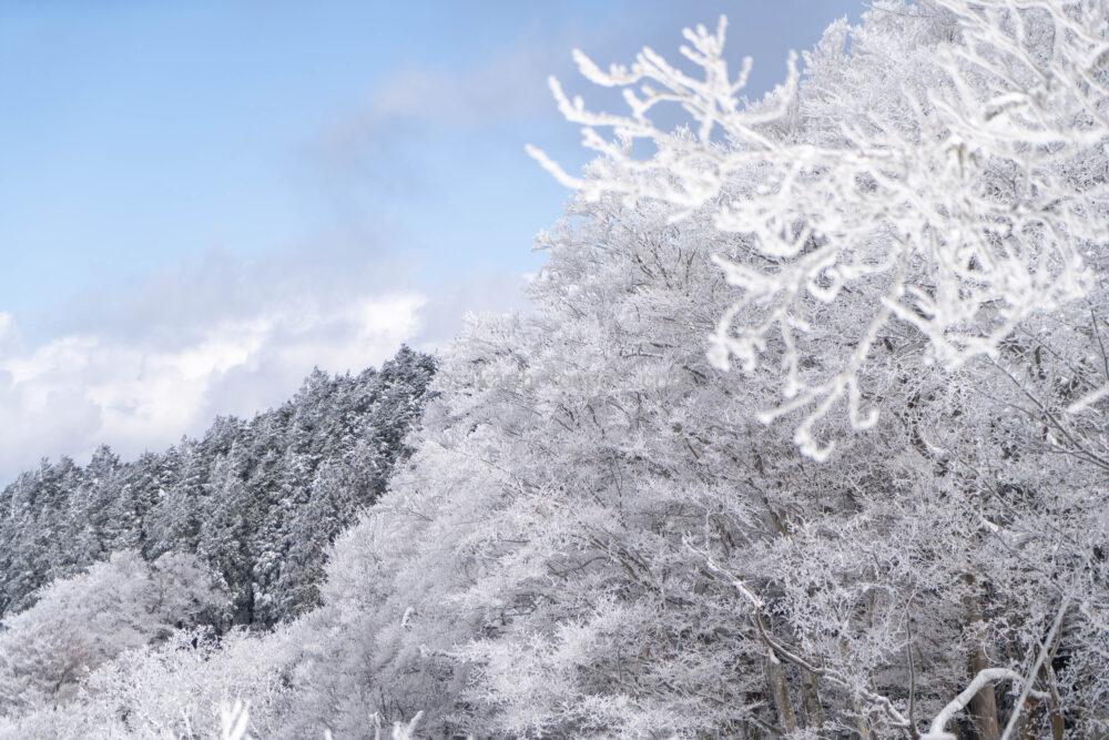 金剛山の雪景色