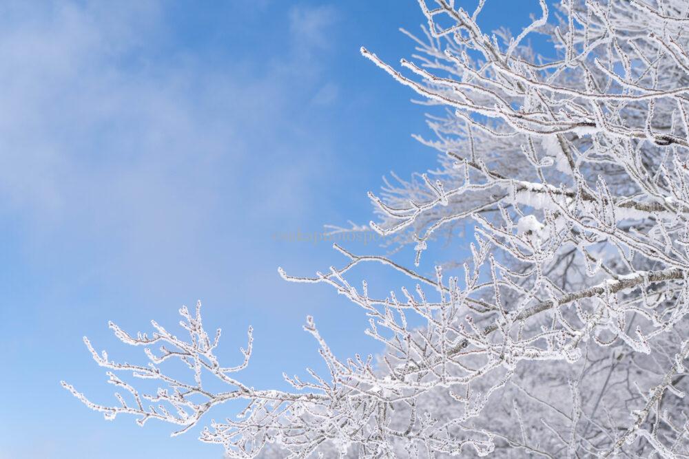金剛山の雪景色