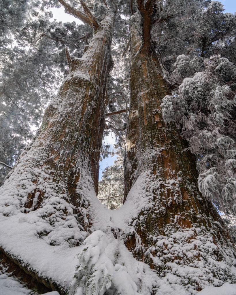 金剛山の雪景色
