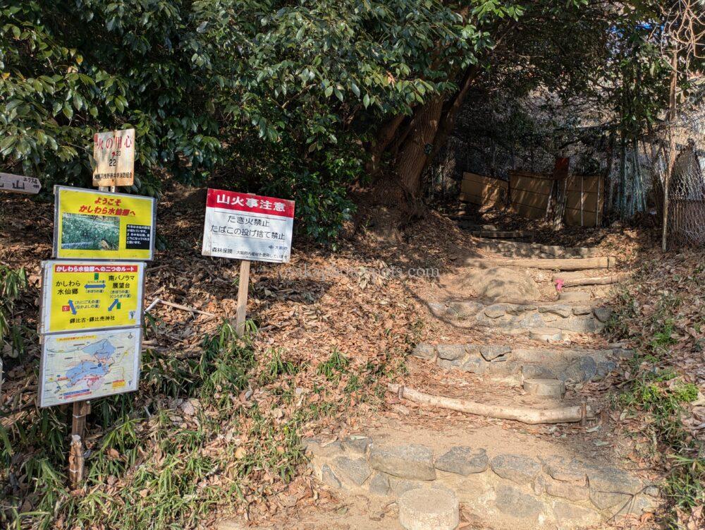 かしわら水仙郷