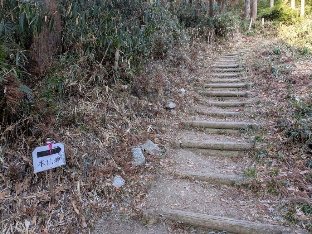 かしわら水仙郷